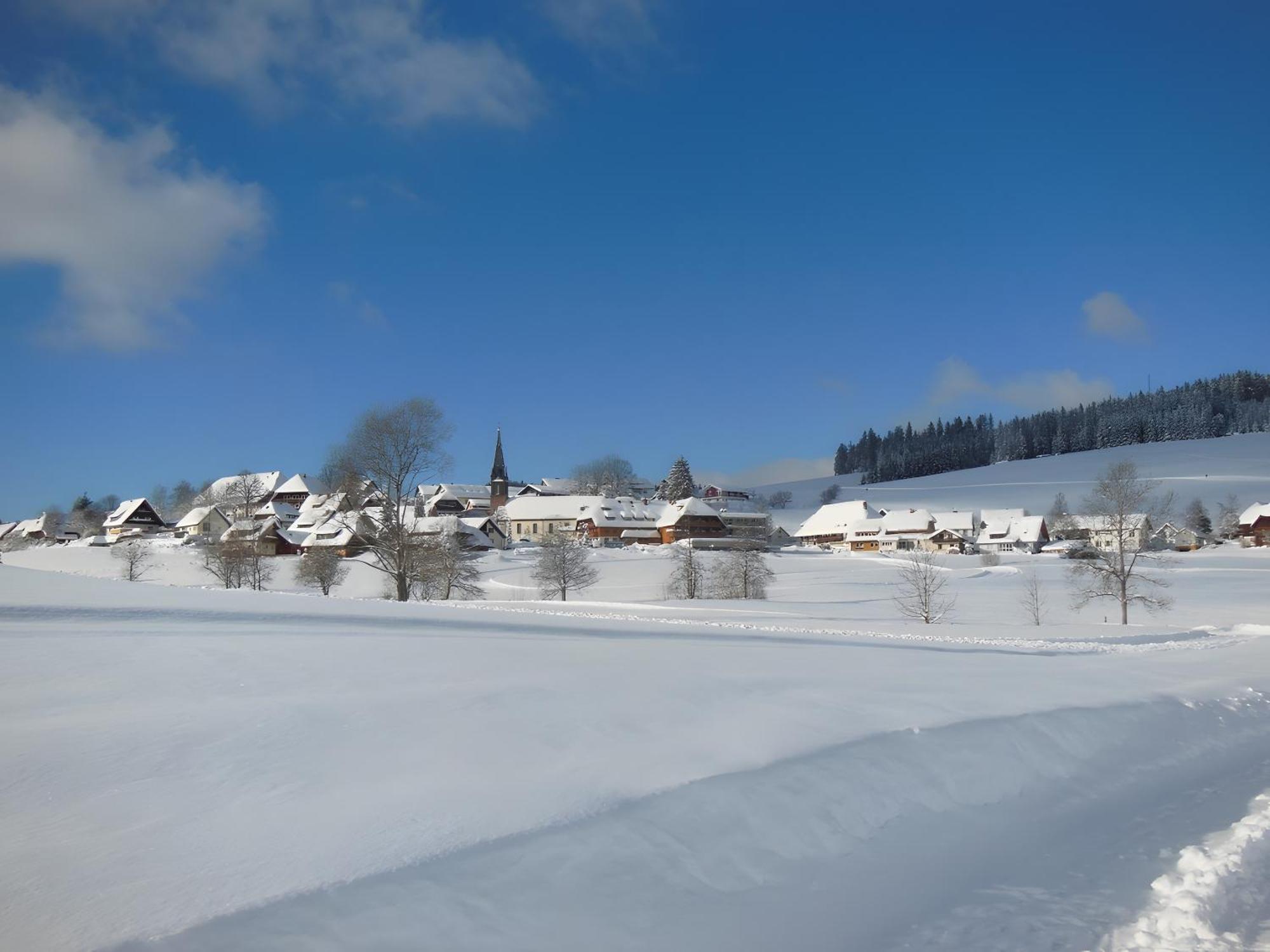 Ferienhaus Kaltenbach Титизее-Нойщат Екстериор снимка