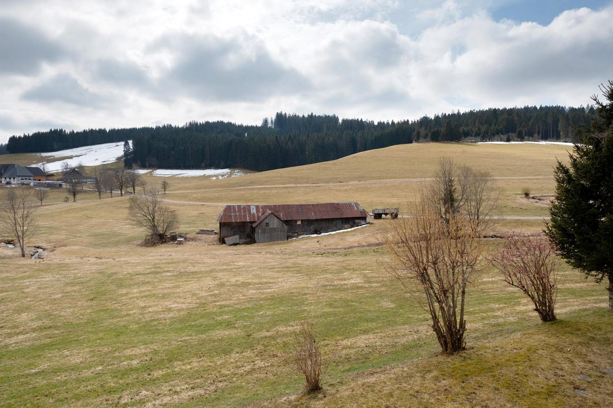 Ferienhaus Kaltenbach Титизее-Нойщат Екстериор снимка
