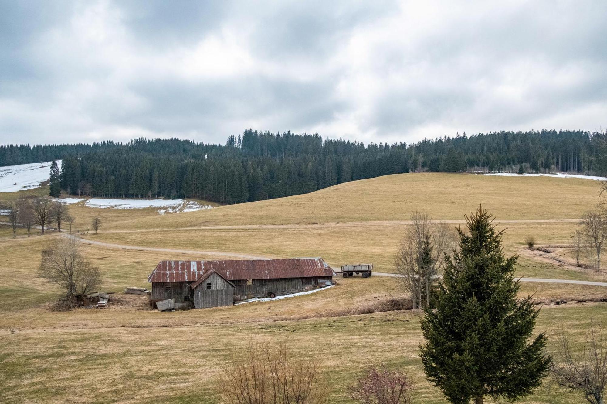 Ferienhaus Kaltenbach Титизее-Нойщат Екстериор снимка